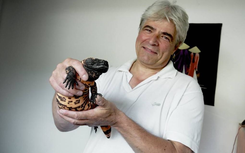 Walter Getreuer houdt thuis een gilamonster. beeld Sjaak Verboom