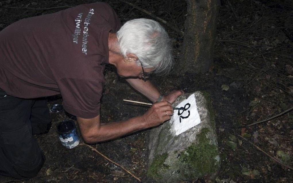 Een groep vrijwilligers van Staatsbosbeheer gaat de typisch Drentse vakstenen in ere herstellen. De stenen zijn oude markeringspunten van percelen. Beeld Staatsbosbeheer