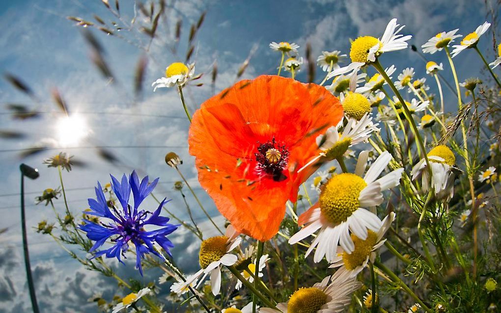 Bavaria, Duitsland. Foto EPA