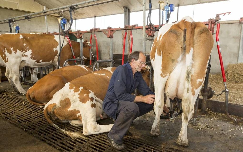 Helmert van Maanen. Beeld André Dorst