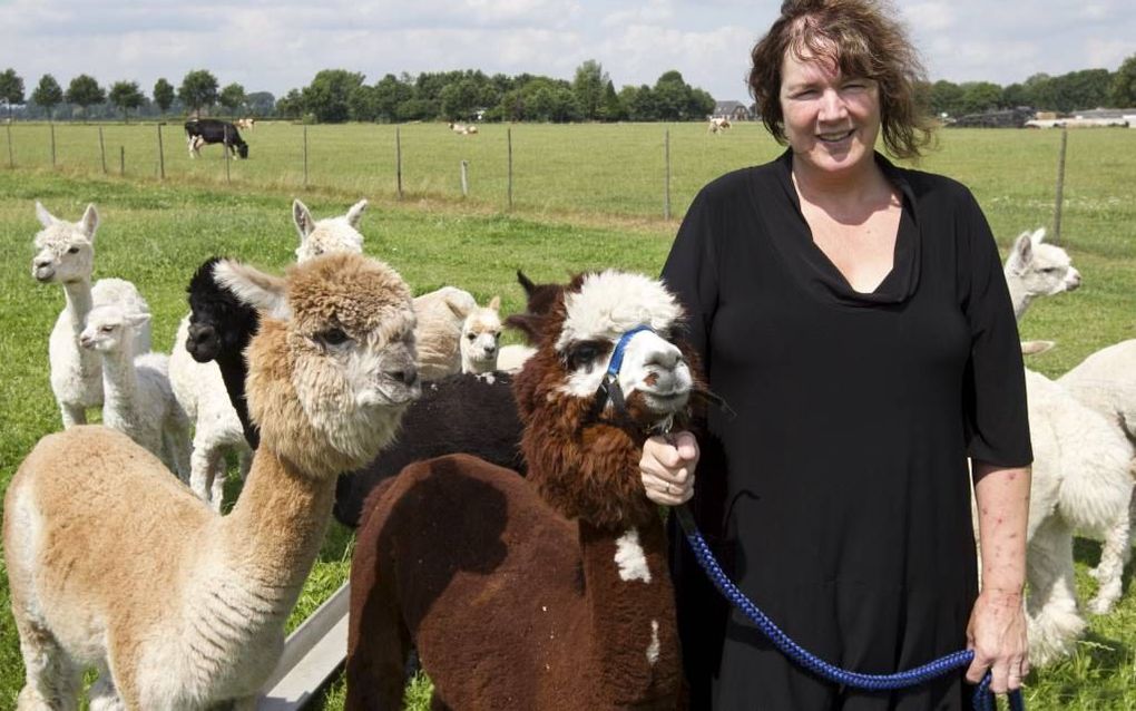 Jeannette Hollander (49) uit Welsum houdt alpaca’s. Beeld RD, Anton Dommerholt