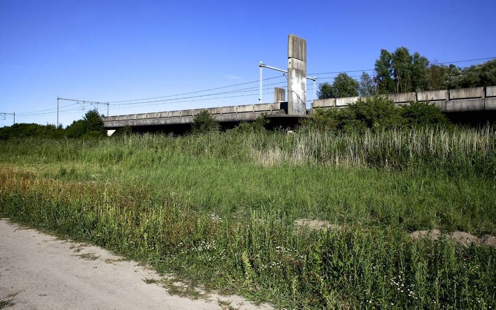 Station Lelystad-Zuid ligt er verlaten bij. Er is nog nooit een trein gestopt. In het verleden waren er muziekuitvoeringen. Momenteel zijn hangjongeren de belangrijkste gebruikers. Beeld Dick Vos