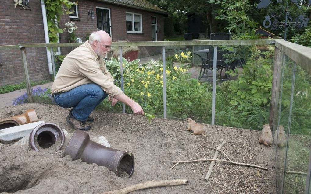 Peter Verberne uit Zuid-Beijerland: Ik heb moeite met mensen die hun hondje aankleden met truitje en strik. beeld Wim van Vossen