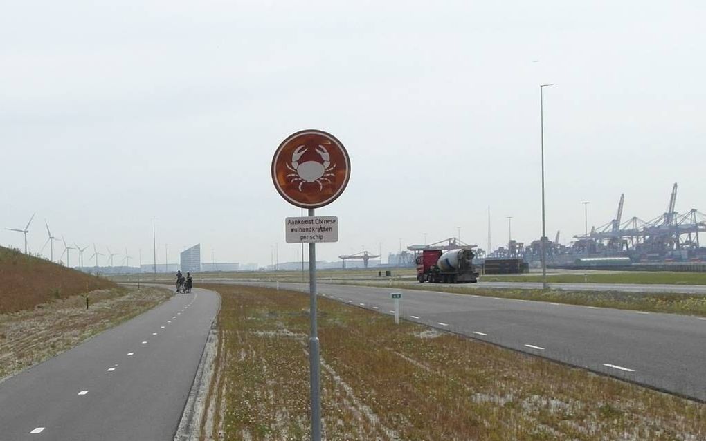 Bord van een nieuwe fietsroute, met links de zeedijk en rechts Maasvlakte 2. beeld Jan van Reenen