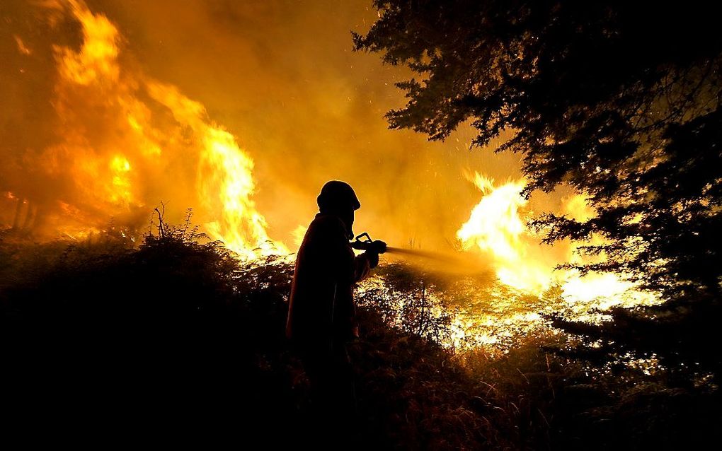 Bosbranden in Portugal. Foto EPA