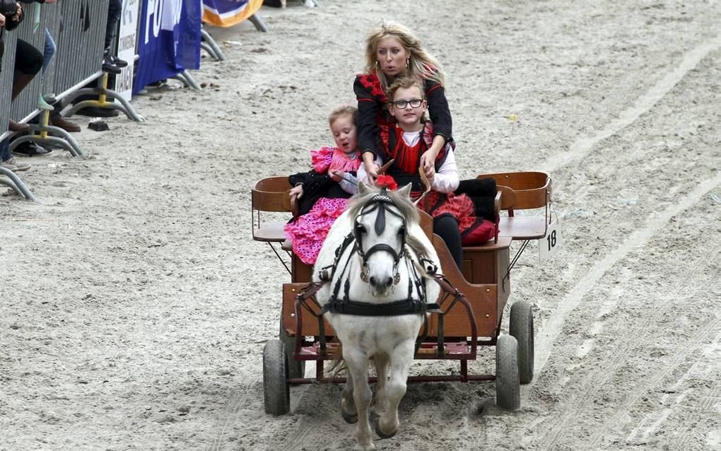 De jaarlijkse paardenmarkt in Vianen staat sinds kort op de Nationale Inventaris Immaterieel Cultureel Erfgoed. Beeld Hans van den Heuvel