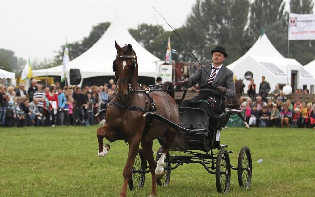 HOORNAAR. De 101e editie van de Fokveedag Boerenlandfeest in Hoornaar trok zaterdag 12.000 bezoekers.  beeld Organisatie Fokveedag