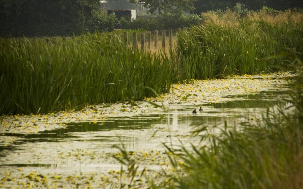 Benthuizen, de plaats waar ds. Ledeboer stond. Beeld RD, Henk Visscher