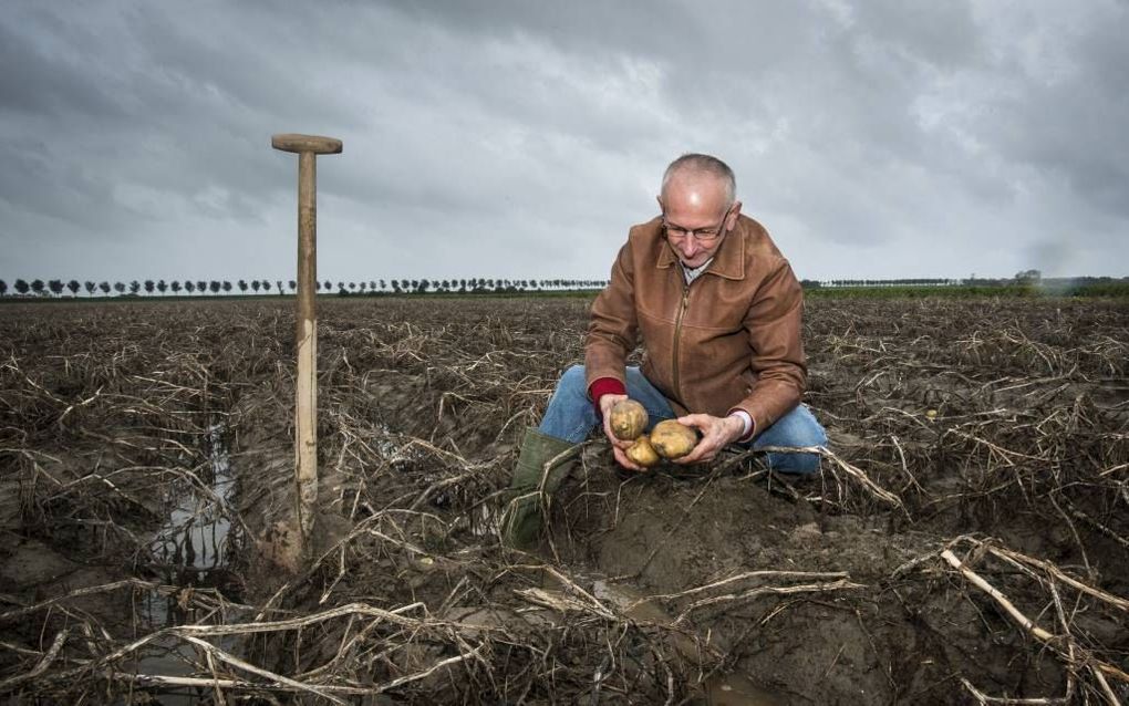 Lies Struik. Foto Wim van Vossen