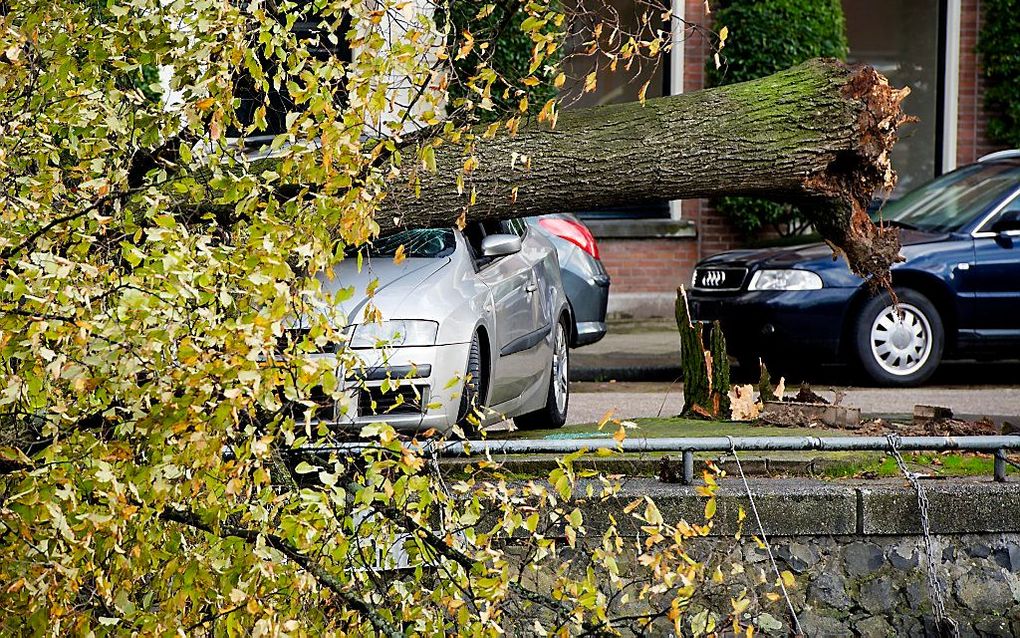 De storm die maandag over Nederland raasde, heeft een schade van zeker 95 miljoen euro veroorzaakt. beeld ANP