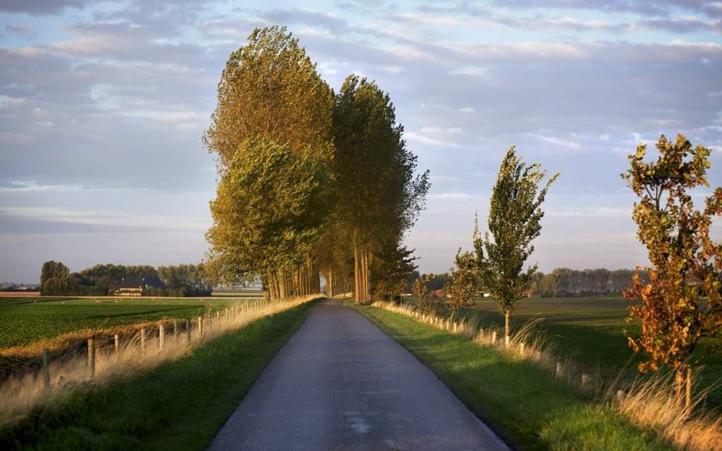 „Wij wonen in een uithoek” Beeld Sjaak Verboom