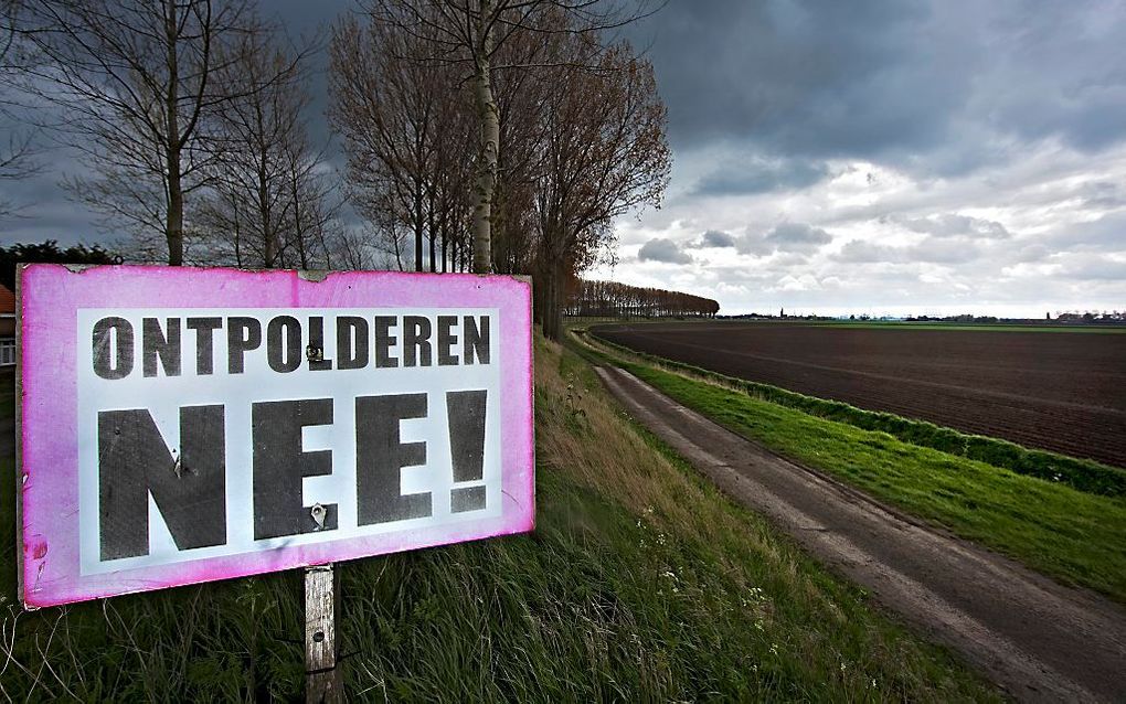 Hedwigepolder. Foto ANP