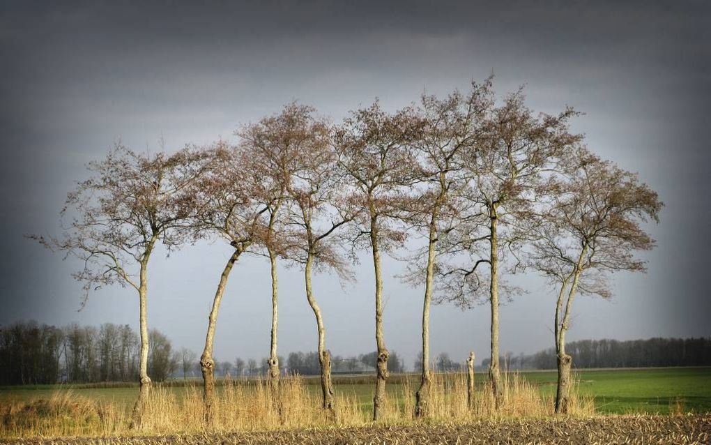 beeld RD, Sjaak Verboom