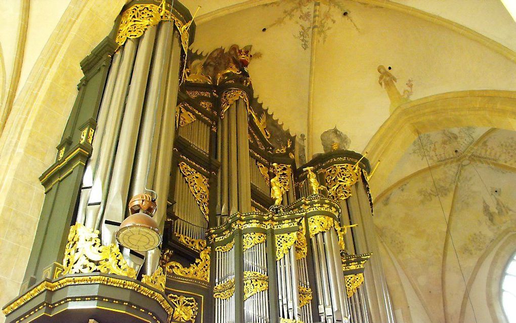 Het orgel in de Martinikerk in Groningen. Beeld RD