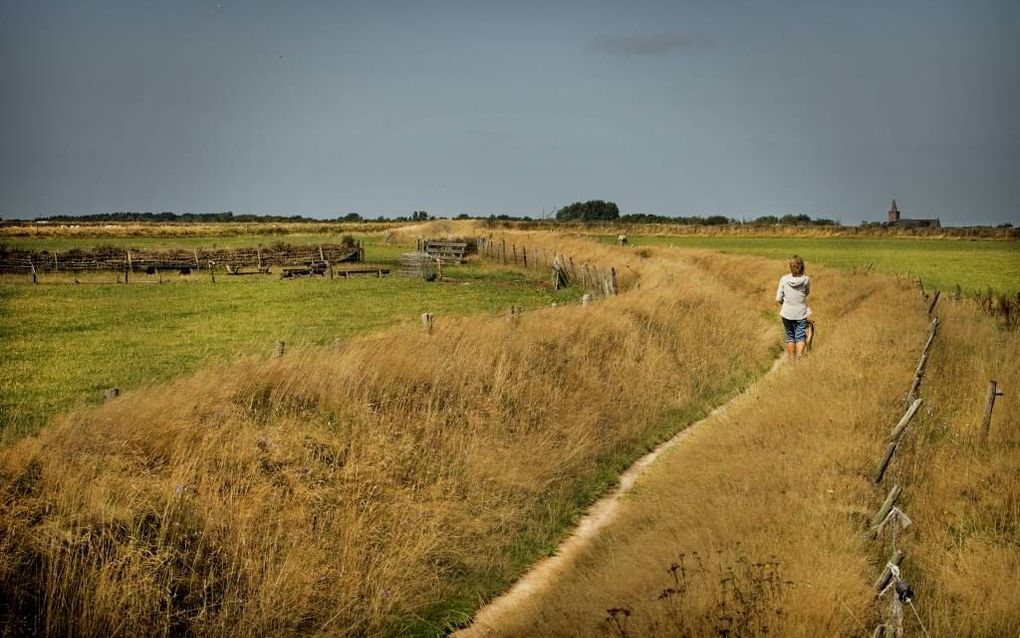 De tuunwallen op Texel, hier bij Den Burg, inspireerden de christelijke schrijver Marc Pranger tot het maken van een overdenking. beeld RD, Henk Visscher