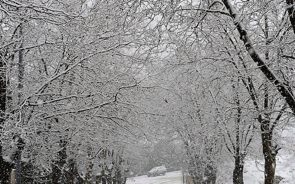 Beiroet, Libanon. beeld EPA