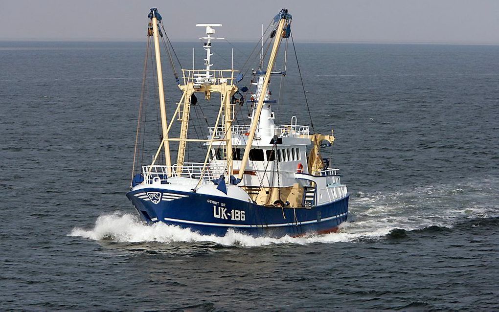 Nederlandse vissers krijgen niet te maken met een vermindering van het aantal zeedagen, de dagen waarop een vissersschip op zee vist.  beeld ANP