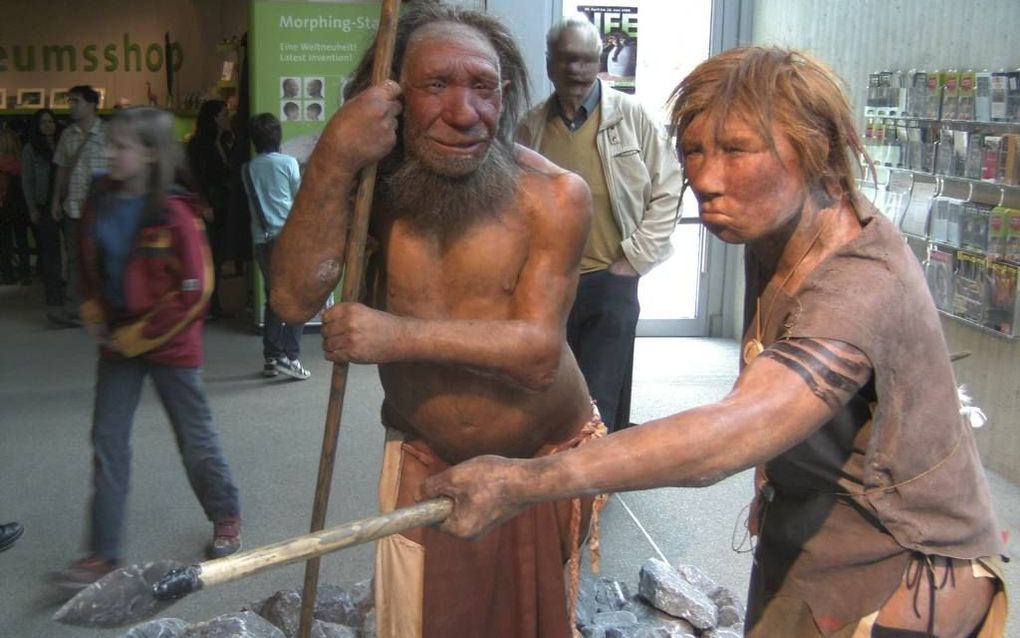 Neanderthalers. beeld Wikimedia, UNiesert