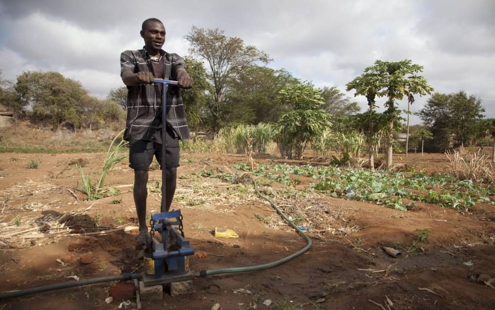 In Uganda is water in overvloed. Toch wordt er maar mondjesmaat aan irrigatie van akkerland gedaan. In buurlanden als Somalië en Kenia maken boeren veel meer gebruik van bevloeiingsmogelijkheden. beeld EPA