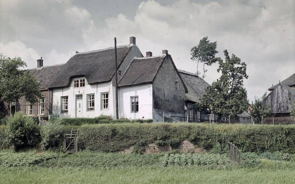 Archieffoto van de begroeide stadsmuur van Heukelum. Het is de bedoeling dat de oude muur volledig wordt hersteld. beeld Stichting Stadswal Heukelum