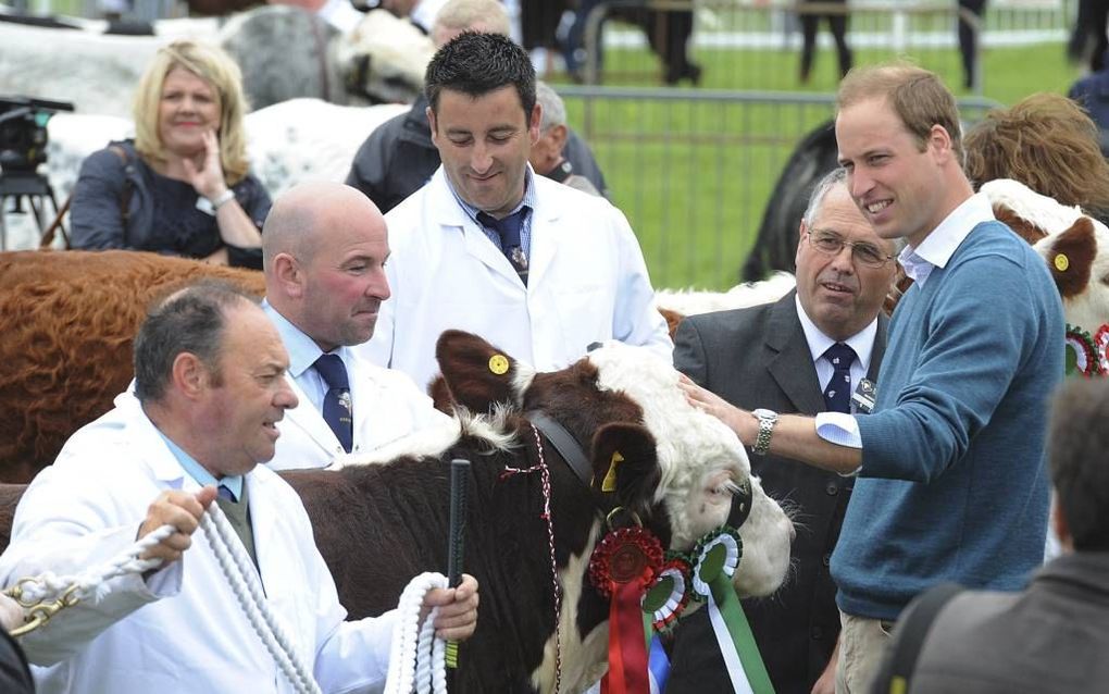 Als hertog van Cornwall is prins William straks ook eigenaar van tientalle boerderijen.  beeld EPA