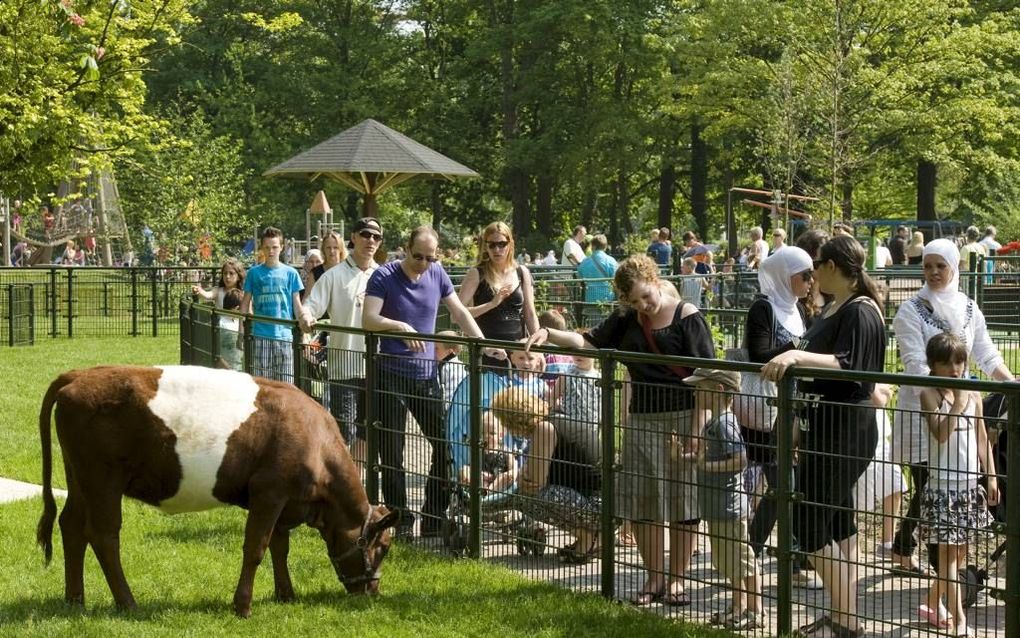 De stadsboerderij Weijzigt in Dordrecht trekt jaarlijks vele bezoekers. Beeld Gemeente Dordrecht