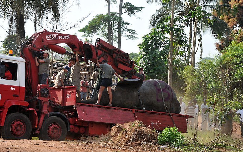 beeld AFP