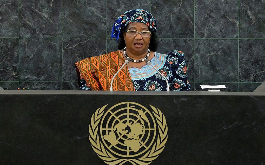 President Joyce Banda van Malawi. beeld EPA