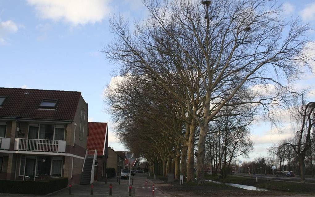 LEERDAM. De gemeente Leerdam wil overlast door roeken aanpakken. beeld André Bijl