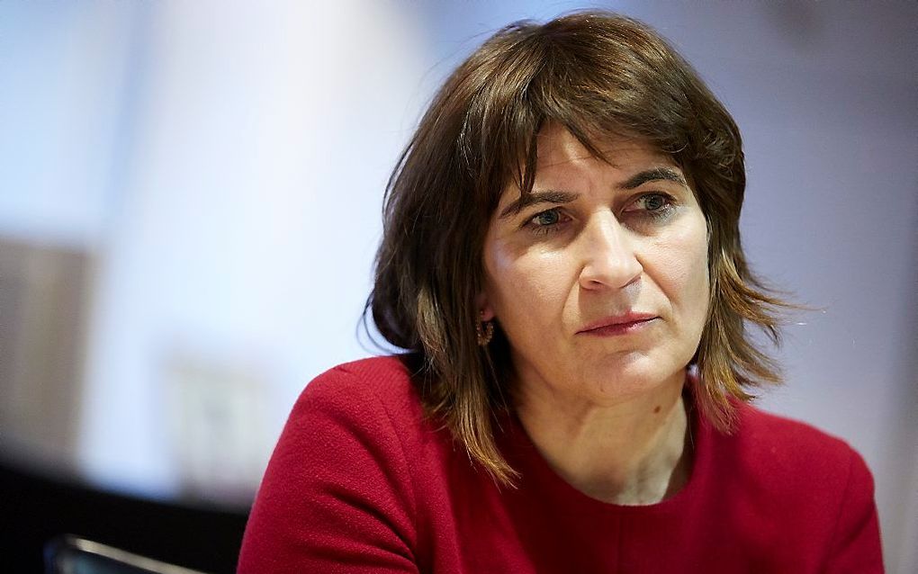 Lilianne Ploumen. beeld ANP