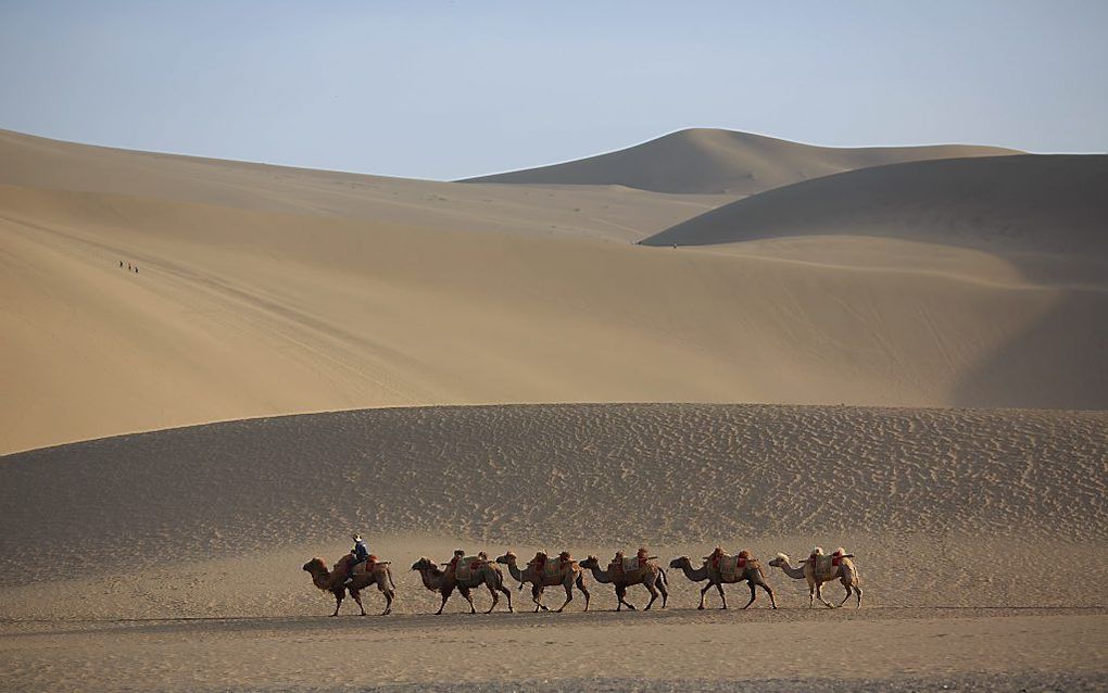 Zijderoute. beeld AFP