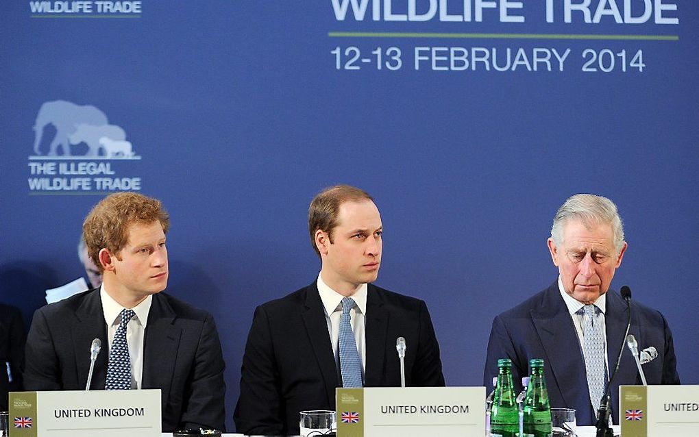 De Britse kroonprins Charles en de prinsen William (M) en Harry tijdens de internationale conferentie in Londen. beeld EPA