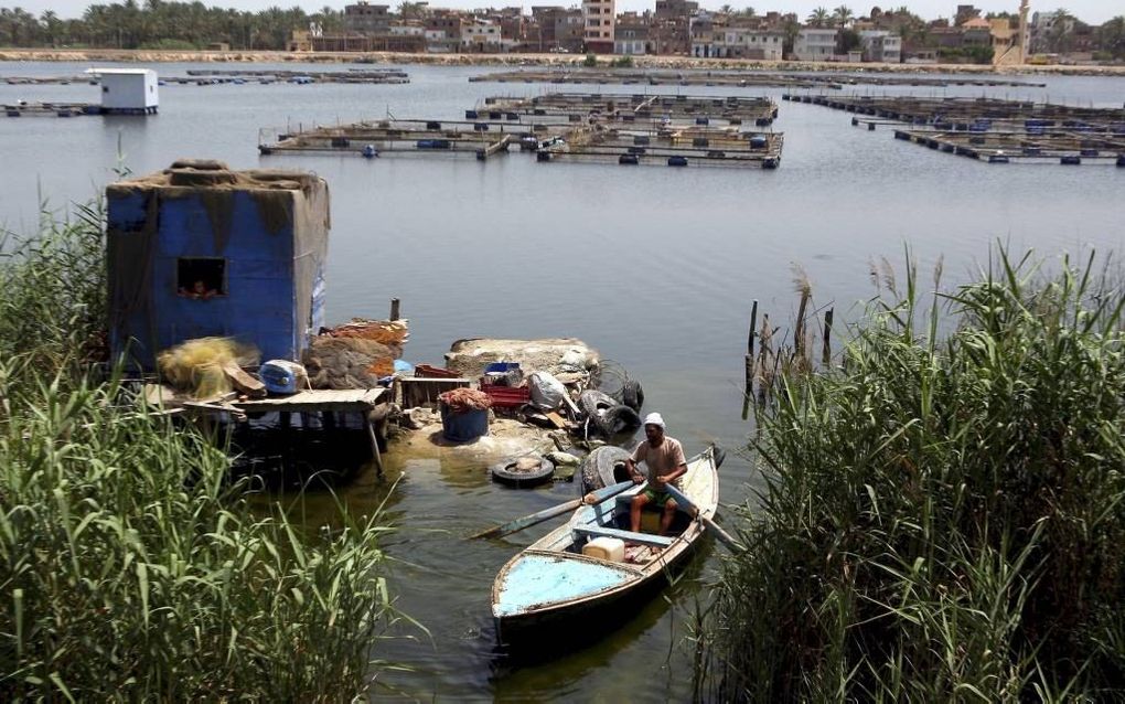 In de Nijldelta heeft de landbouw te maken met de verzilting van de bodem door onder meer de stijgende zeespiegel. beeld EPA