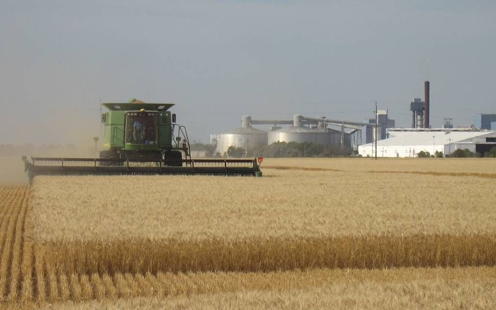 Een Amerikaanse boer dorst tarwe. Steeds meer landbouwgrond in de VS komt in handen van investeerders van buiten de landbouw. beeld EPA