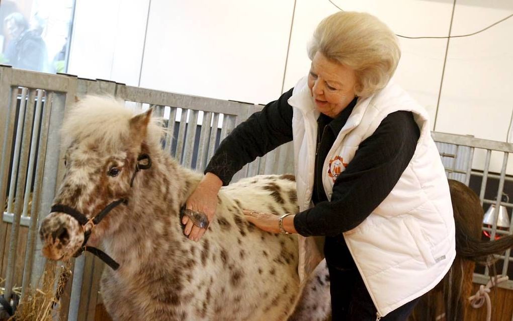 Prinses Beatrix deed vorig jaar mee met NLdoet. beeld ANP