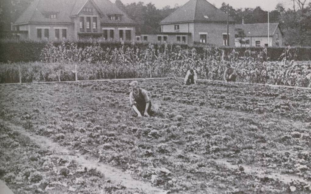 DE GLIND. Het was voor de pleegkinderen in het gereformeerde jeugddorp De Glind tot in de jaren 50 van de vorige eeuw hard aanpakken. Altijd moest er wel iets worden gedaan: aardappels rooien, stallen schoonmaken, aardappels schillen, bedden opmaken. beel