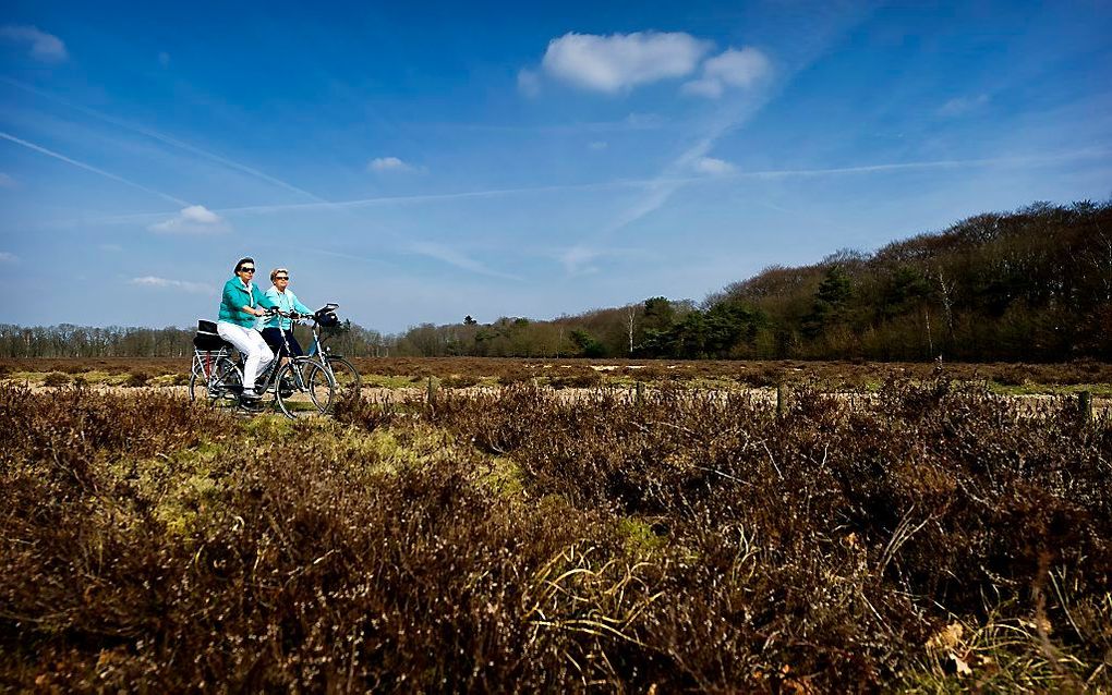 Ginkelse Heide bij Ede. beeld ANP