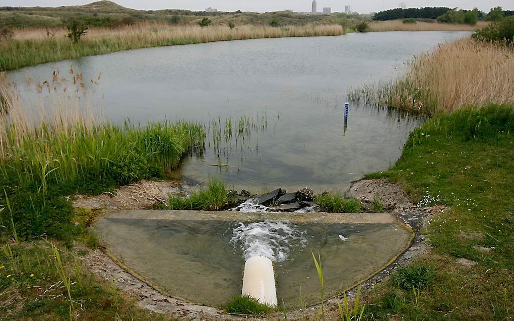 De kwaliteit van water dat wordt gebruikt om drinkwater van te maken, wordt bedreigd door het veranderende klimaat. Dat meldde het RIVM (Rijksinstituut voor Volksgezondheid en Milieu) dinsdag. beeld ANP