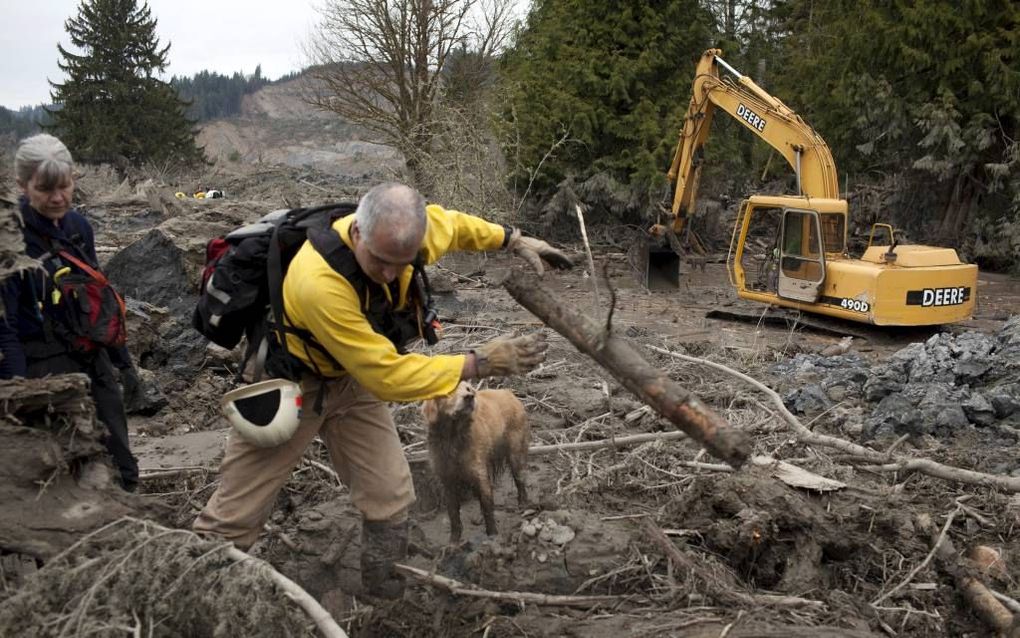 DARRINGTON. Reddingswerkers zoeken nog altijd naar overlevenden van de modderlawine in Amerikaanse staat Washington. beeld EPA