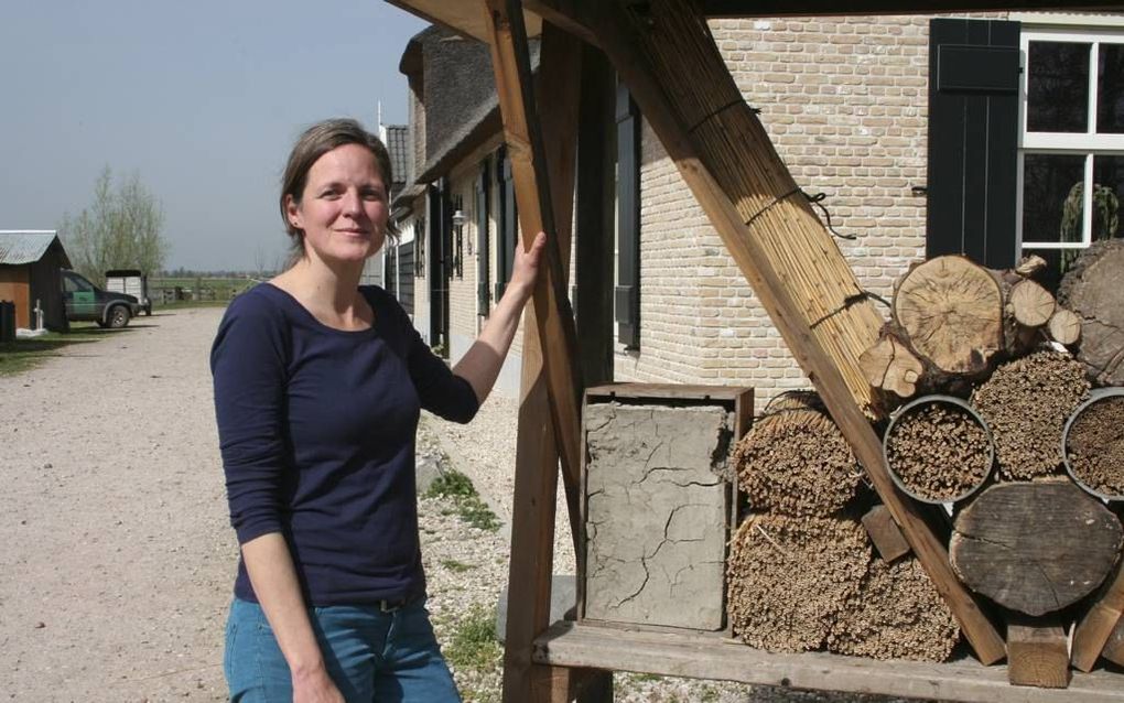 Esther Dijkstra bij het bijenhotel bij de schaapskooi in Ottoland. Beeld André Bijl