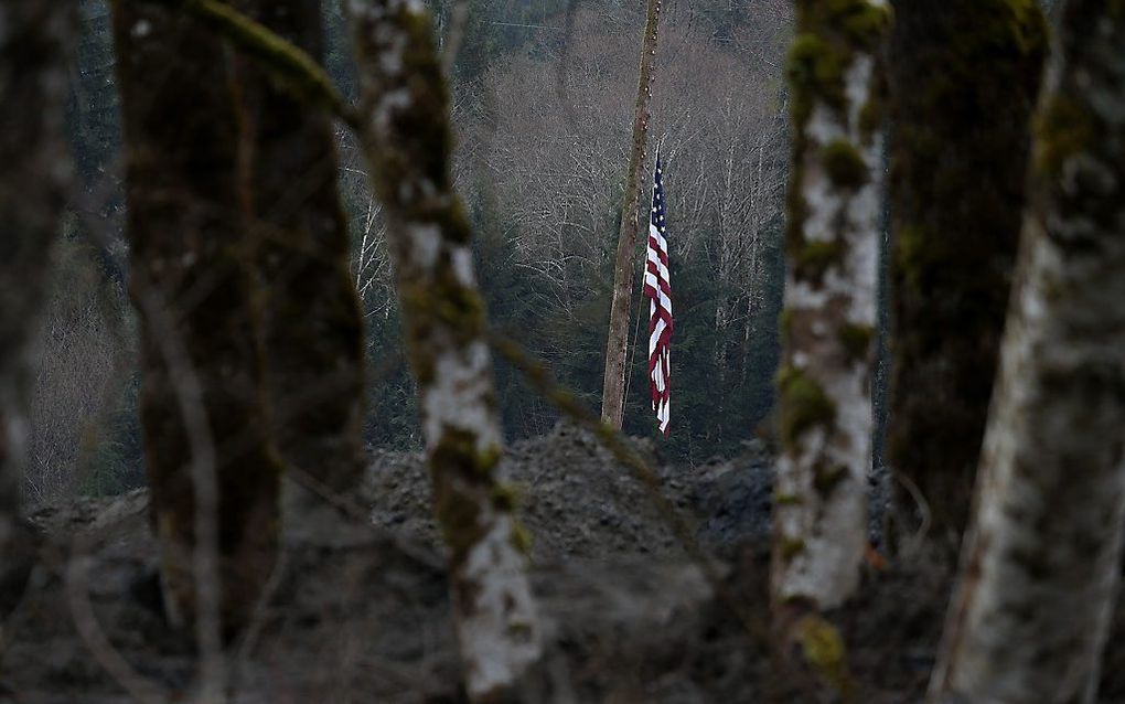 Oso. beeld AFP