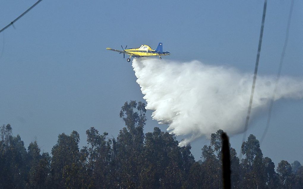 beeld AFP