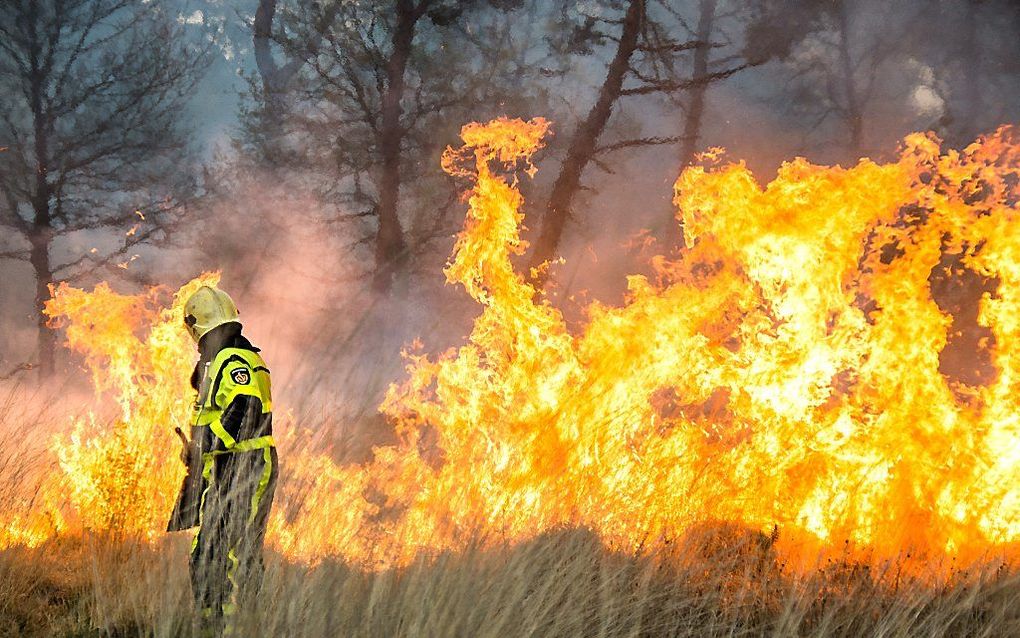 Brand in het Mastbos bij Breda. beeld ANP