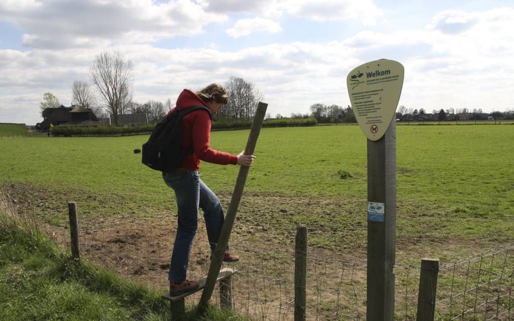 Rond Terwolde kunnen wandelaars het Tuylermarkerpad lopen, een klompenpad dat voert over landweggetjes en door uiterwaarden en weilanden. beeld Landschapsbeheer Gelderland