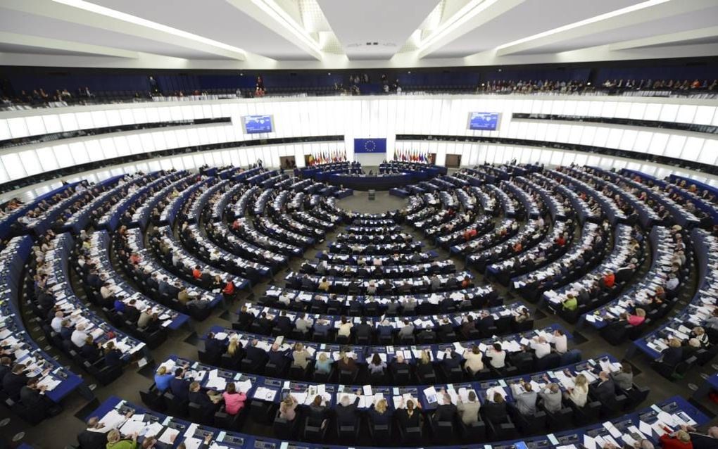 Europees Parlement in Straatsburg. Beeld EPA