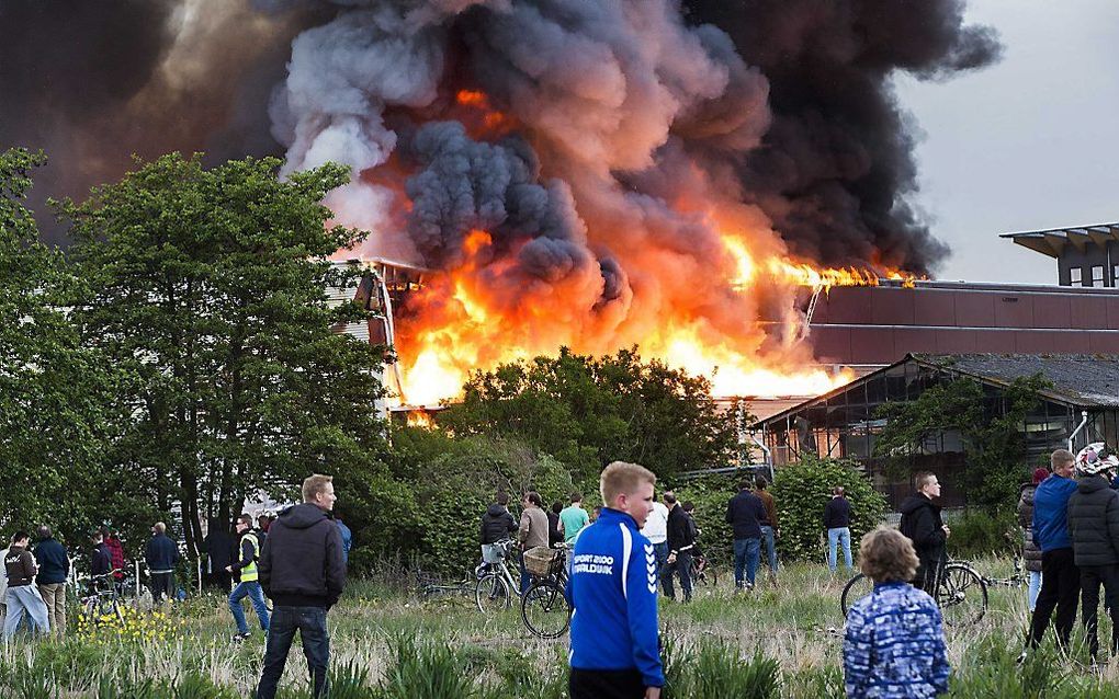 Een brand in Poeldijk heeft gisteren drie bedrijven in de as gelegd. beeld ANP