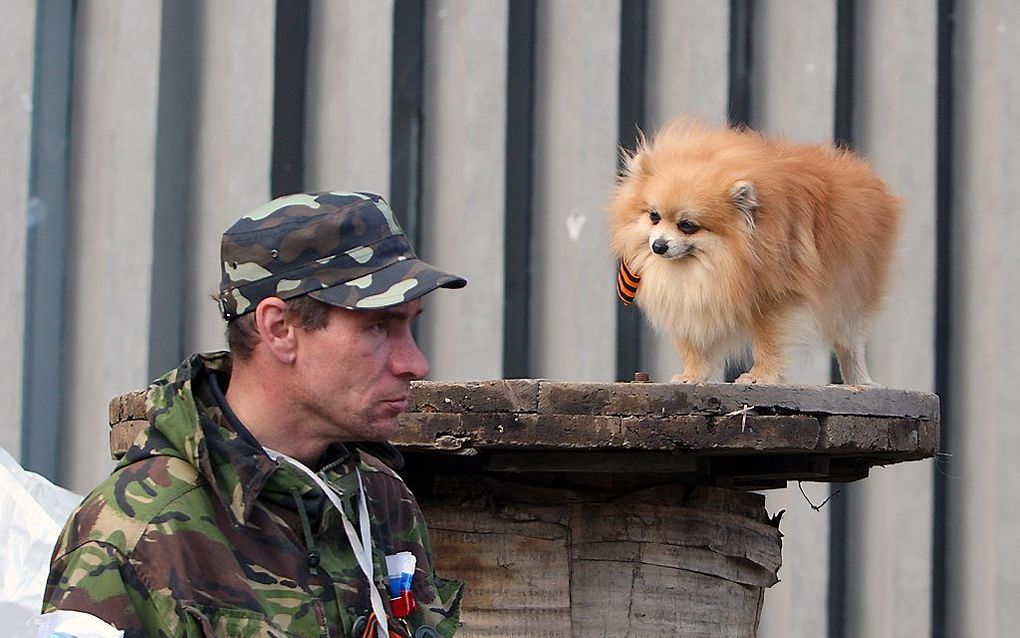 Pro-Russische activist in de Oekraïense stad Lugansk. beeld EPA