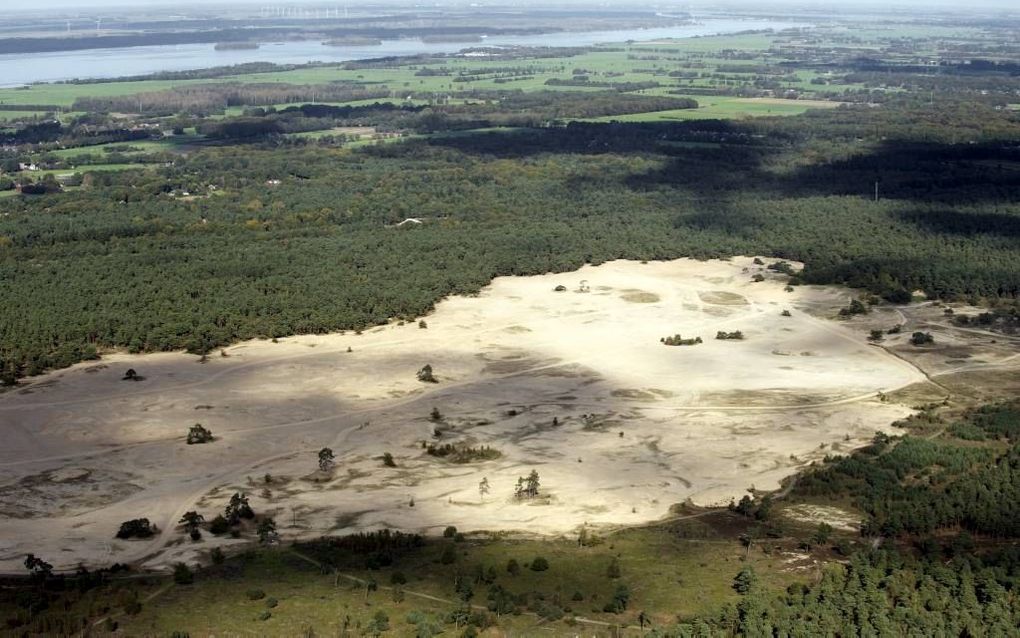 HARDERWIJK. Op het Beekhuizerzand bij Harderwijk, op de foto zichtbaar vanuit de lucht, werden de laatste jaren ook flink wat bomen gekapt. Dat heeft het natuurgebied alleen maar goed gedaan, aldus bosbeheerder Roel Jansen.  beeld Bram van de Biezen