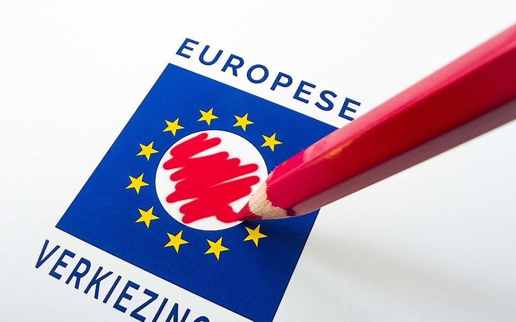 Europese verkiezingen. beeld ANP