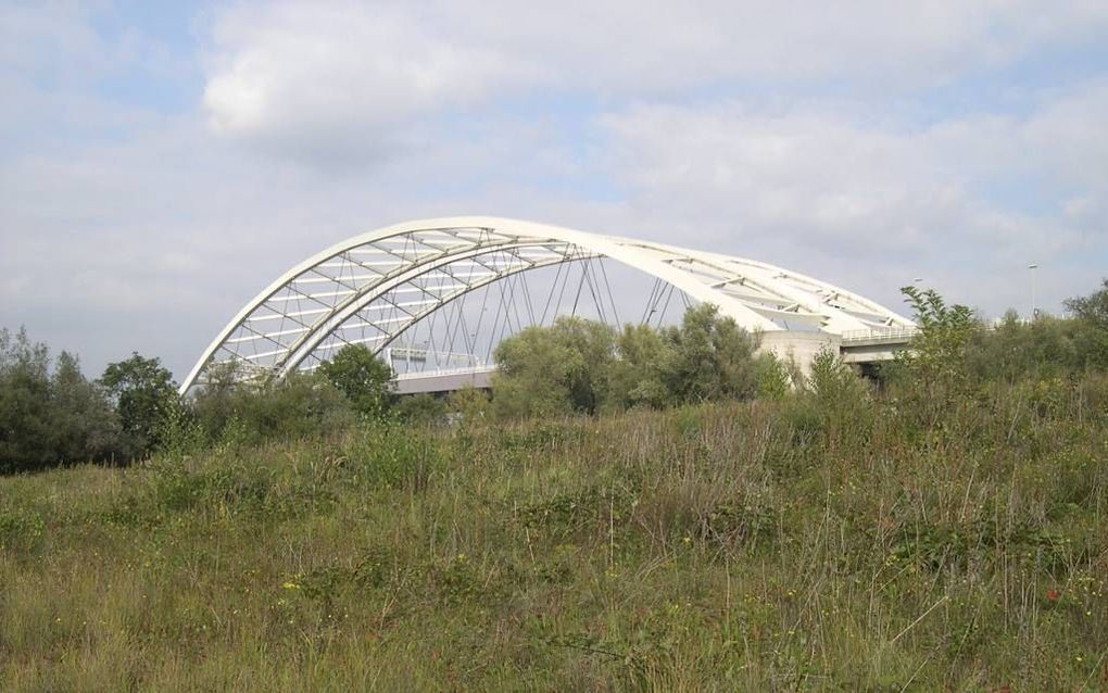 ROTTERDAM. Het Eiland Van Brienenoord, met op de achtergrond de gelijknamige bruggen. beeld het Zuid-Hollands Landschap, Niek Koppelaar